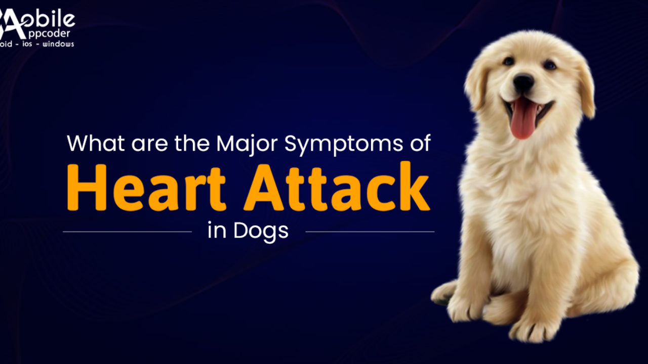 what are the signs of a dog having a heart attack